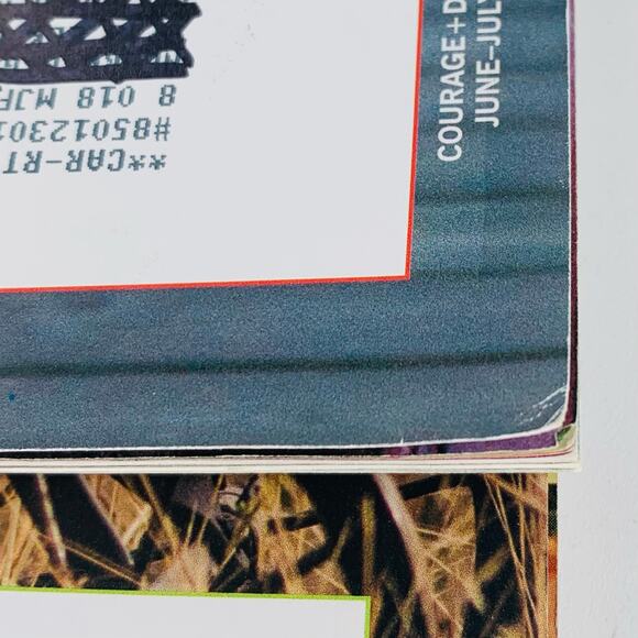 Mary Janes Farm Magazine Lot of 3 June - November 2022 Courage Dream Sunbeams - Picture 5 of 9